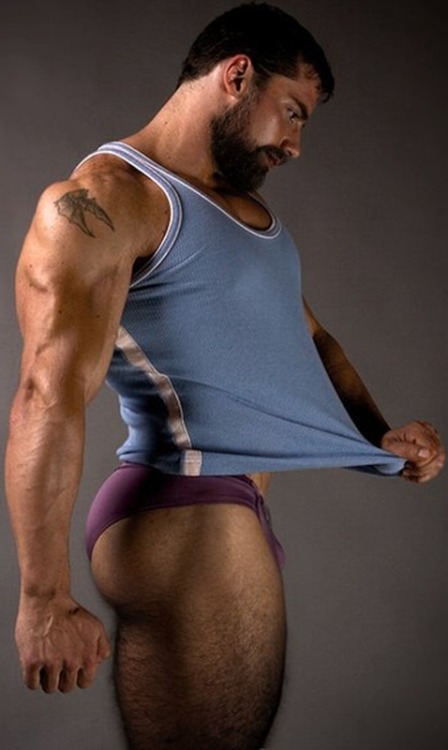 Tighty Purples????    He is ALL man. And purple is his color.      [ #gayporn #gay #porn #muscles #bear ]