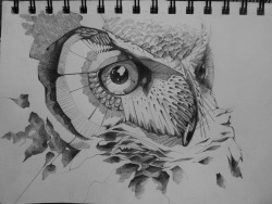 Eatsleepdraw:  Who Doesn’t Love Owls?Check Out More Bits And Pieces Of My Art Over