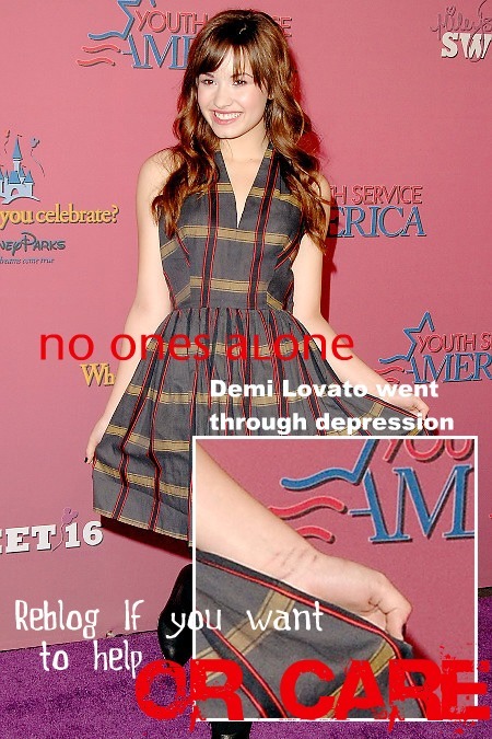 Fact. Demi Lavato a loved star was bullied and went through depression. Honestly how can you not reb