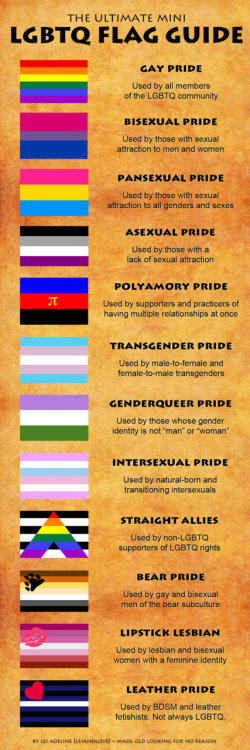 southpawscopic:multisexual:“Ultimate LGBTQ Flag Guide“ by ~leiandlove (deviantart)Other than the deb