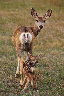 magicalnaturetour:  Emulate by Doug Roane :) 