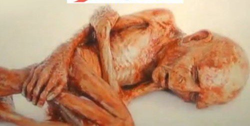 lo-l:  armyofghosts:  stfuconservatives:  U GUISE THIS IS SO SAD :’( This is what an abortion looks like at 10 weeks. They removed the baby with rusty knives and just left it in a train station to die. Pro-“choice” people don’t care that this