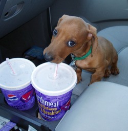 its like “im just gonna take a sip