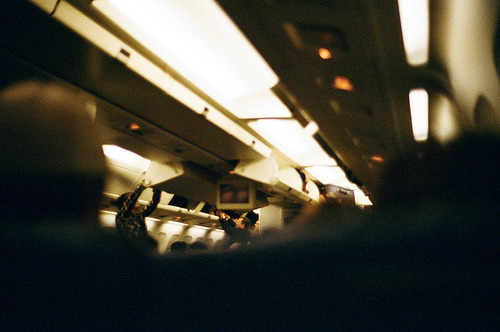 black-wolves:  LA to NYC (by Sisilia Piring) 