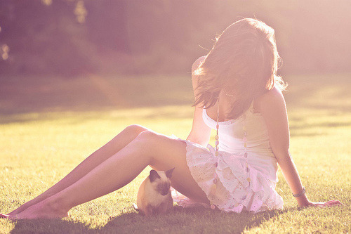 girl, grass, kitty, legs, pretty, sunshine - inspiring picture on Favim.com on We