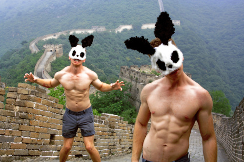 Panda Rabbit - Great Wall of China 2011 - Alexander Guerra