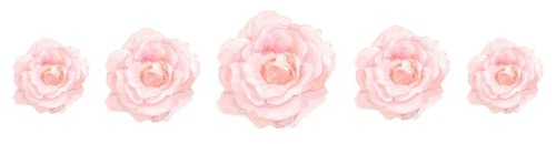 emmas-garden:  suhnlit:  helplesswallflower:  ♡ pastel and serene ♡  Q d    bubblegum<3    pink b