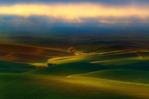 Surreal Morning In The Palouse (by kevin mcneal)