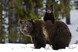 magicalnaturetour:  Photographer Trish Carney :) 