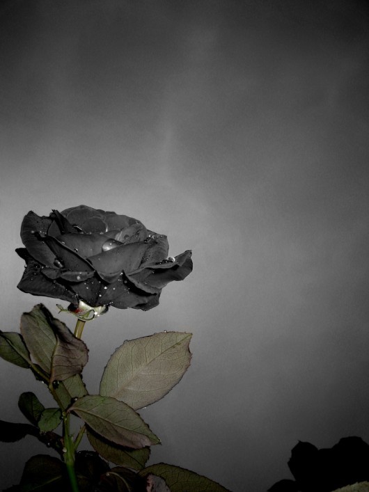 Sometimes we all need new beginnings!