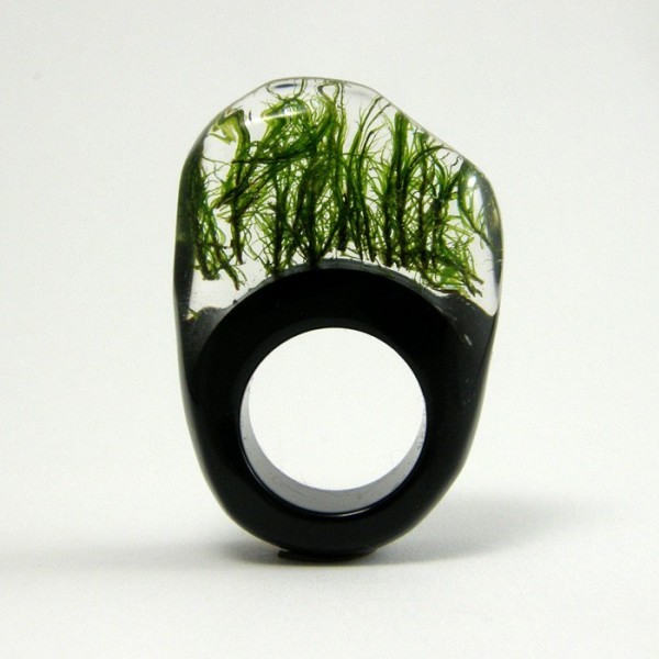 the-little-bear:  (via Moss Ring) 