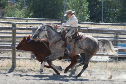 Ranch Horse Competition by OhBoyd on Flickr.