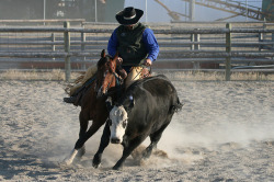 Ranch Horse Competition by OhBoyd on Flickr.