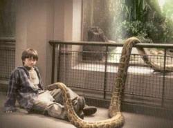  “Sim, é muito engraçado, realmente, que quase ninguém percebeu a cobra que Harry soltou em A Pedra Filosofal acabou virando no final uma Horcrux de Voldemort, Nagini.”  -JK Rowling  