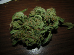 stonernostalgia:  Blue Cheese