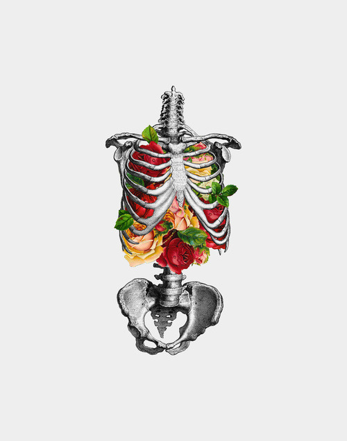 retreathell:  whats on your insides ? 