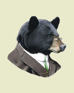 wwwildlife:  Berkley IllustrationBlack Bear