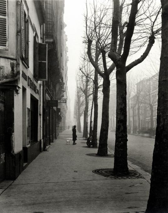 undr:  Louis Stettner Avenue de Chatillon, 14th Arrond., Paris, ca. 1949 