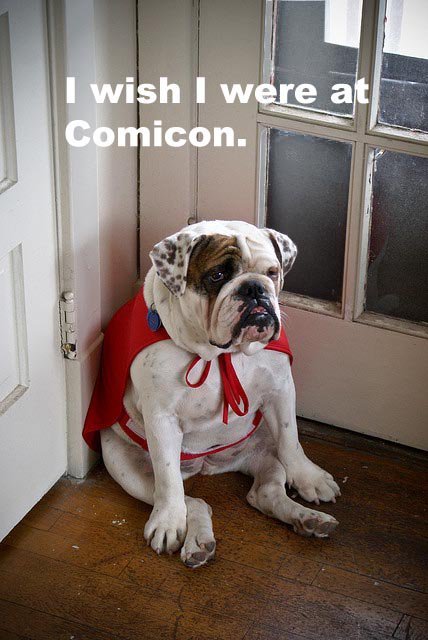 scenesrushingby:  whospam:  redjeep:  Comicon…  relevant GPOY  accurate 