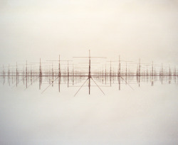 SOUSY Antenna Field, Svalbard archipelago Max-Planck-Institut für Aeronomie; photo by Reuben Wu, 2010