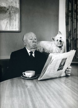  Alfred Hitchcock 