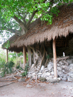 explore-the-earth:  Cozumel, Mexico 