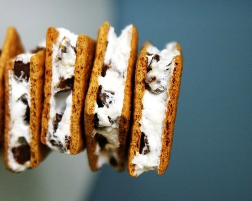 constantfoodlovin:  Smores Now & Later! :D 