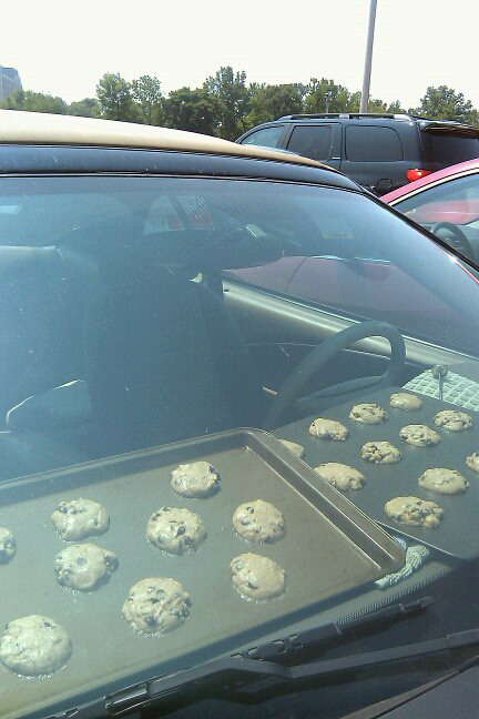 ropeburnandwhisky:  Satan called he wants his weather back. 