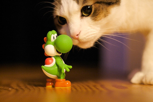 don't try to hug me, fist me.