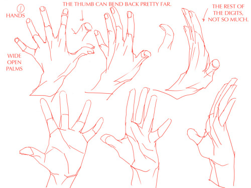 teamtrashcan:“Hands Tutorials for Those Who Hates Drawing Them”Original can be found on Pixiv, I jus