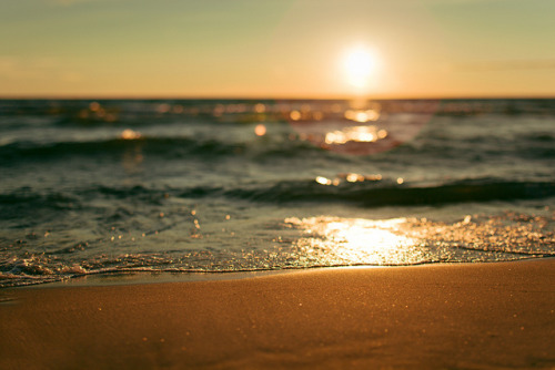 euphoria.