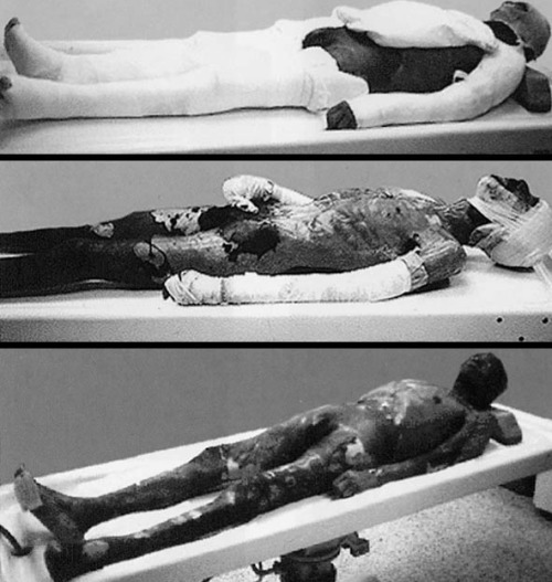 absinthecorpse.tumblr.com/post/8037830057/