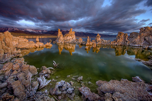 Emerald Lake of Oz | Mono Lake, California
© Jeffrey Sullivan