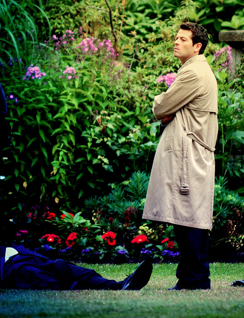sassygayangel:  shimmerysparkles:  This is the last guy that messed up my petunias. 