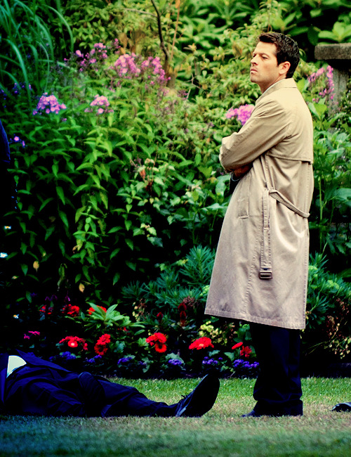 sassygayangel:  shimmerysparkles:  This is the last guy that messed up my petunias.   #Castiel has a lot of pride in his garden #if you mow down the edges of his flower paths #he’ll smite your ass #all the way back #to lawncare hell #Dont fucking