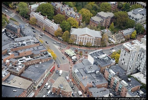 Discover Harvard Square, Cambridge, MA cover image