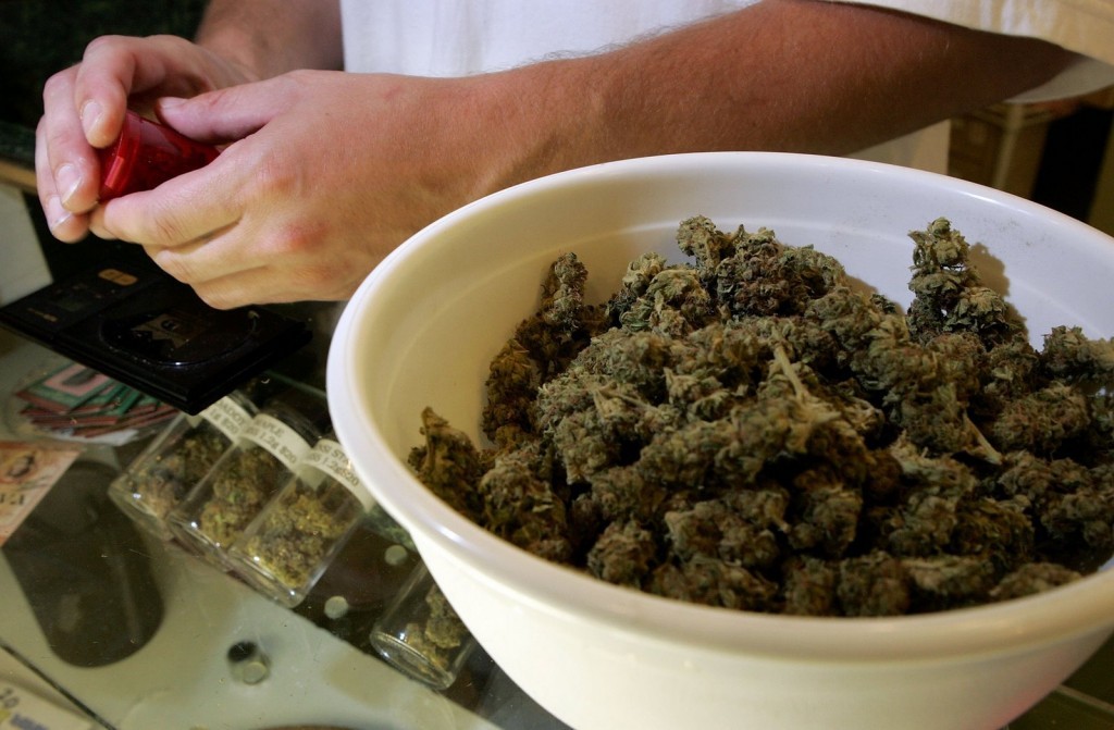 new blog: http://doingweed.tumblr.com