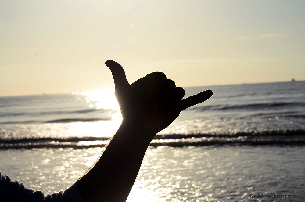 http://en.wikipedia.org/wiki/Shaka_sign