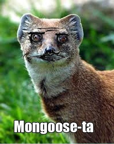 megustacomic:  Mongoose-ta Reblogged from stuck-dreaming porn pictures