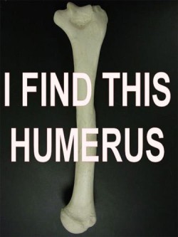 laughingsquid:  I Find This Humerus 