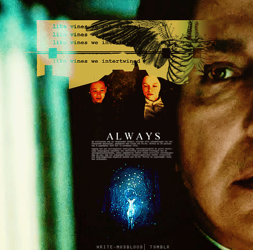 writemudblood-blog:  “Snape’s Patronus was a doe. The same as my mother’s,