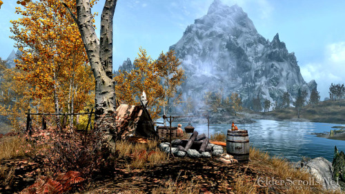 galaxynextdoor:NEW Elder Scrolls: Skyrim screens from Comic-Con and some nice kind of new footage. 