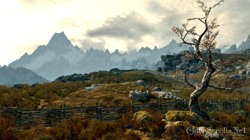 galaxynextdoor:NEW Elder Scrolls: Skyrim screens from Comic-Con and some nice kind of new footage. 