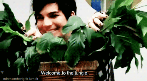 PLANTBERT.