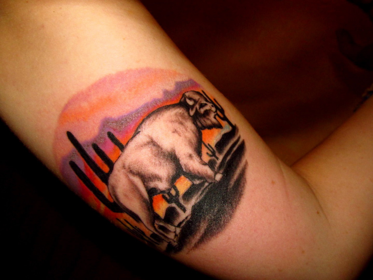 bison' in Tattoos • Search in +1.3M Tattoos Now • Tattoodo