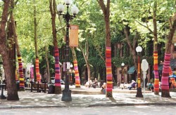 orientaltiger:  Knitted trees by Suzanne Tidwell installation in Washington 