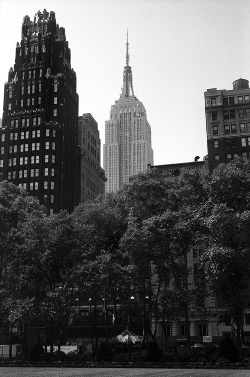 fromme-toyou:  Looking up from Bryant Park