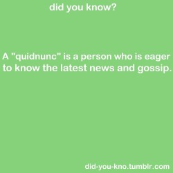 i think i’m a quidnunc. but i’m