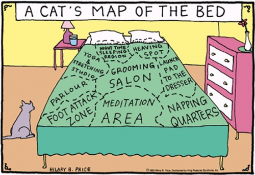 itwasfunwhileitlasted:  I THINK MY CAT CREATED THIS. 