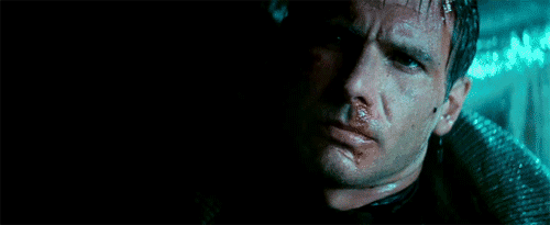 hoynofollo:  La frase “like tears in rain”, que es lo más conocido de la pelicula,